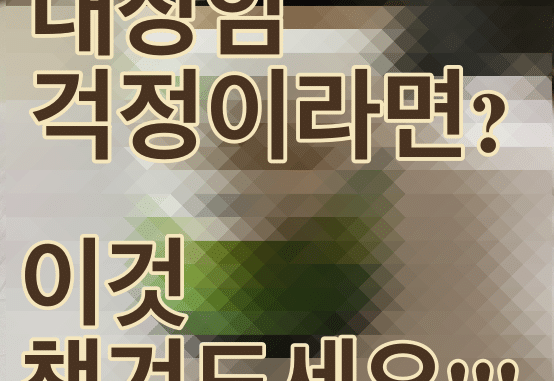 식이섬유